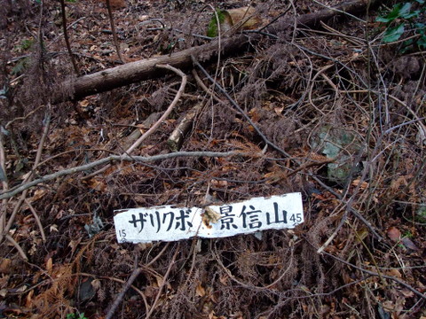 a0043982_15302959.jpg