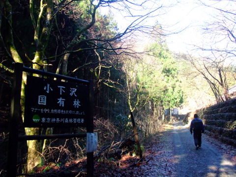 a0043982_1531880.jpg