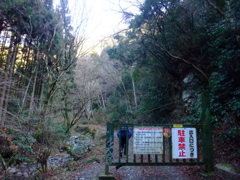 a0043982_1532885.jpg