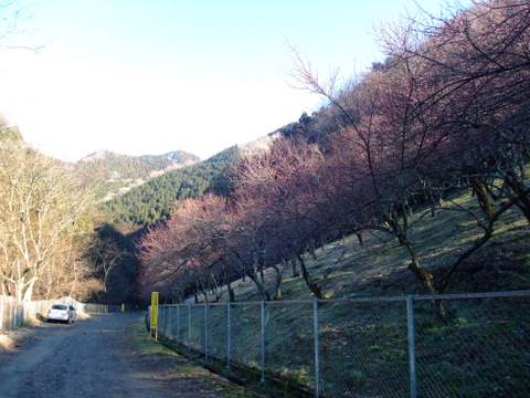 a0043982_1534916.jpg