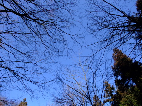 a0043982_153715.jpg