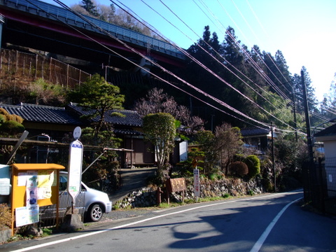 a0043982_1542736.jpg