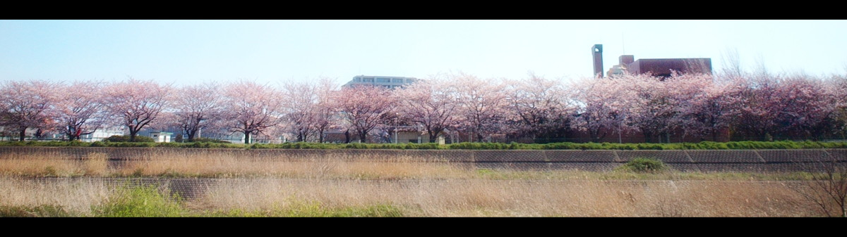 f0167482_2174128.jpg