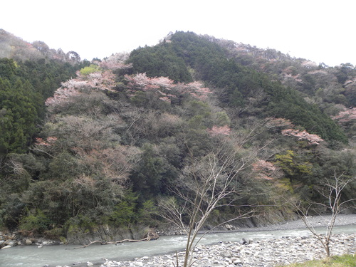 c0176183_22515889.jpg