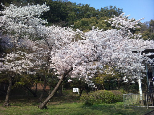 a0221584_21314630.jpg