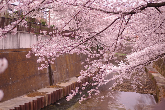 b0160184_2254310.jpg