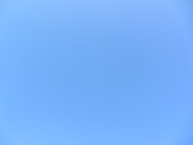 b0202185_2233126.jpg