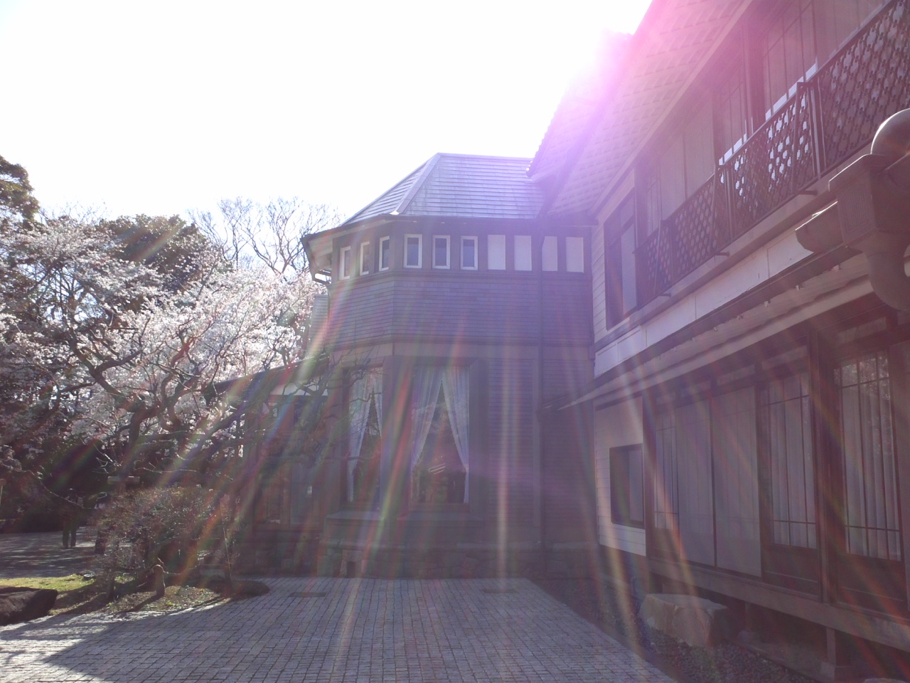 c0035386_18312158.jpg