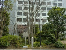 d0183387_021052.jpg