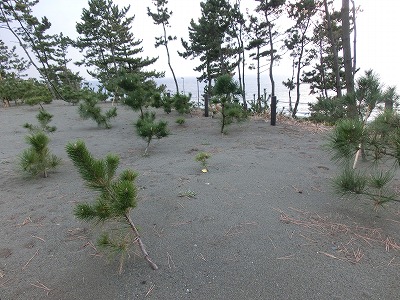 e0123587_20545977.jpg