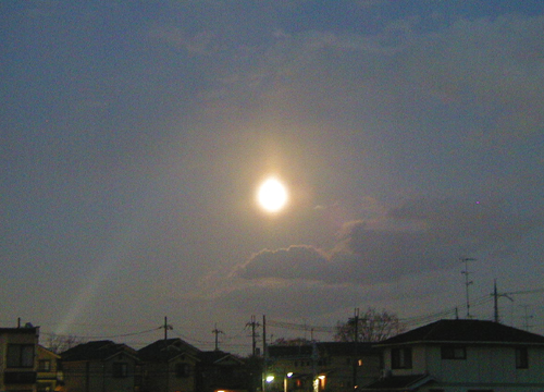 d0053294_285594.jpg
