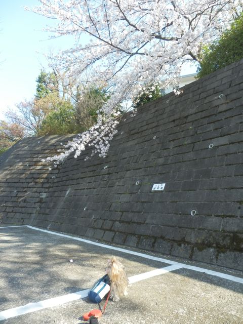 f0130894_169099.jpg