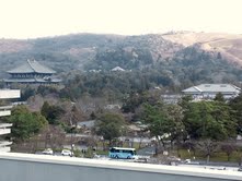 b0228495_20352717.jpg