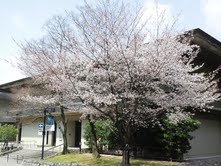 b0228495_2035531.jpg