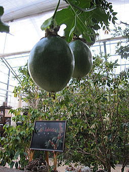 b0028299_20314279.jpg
