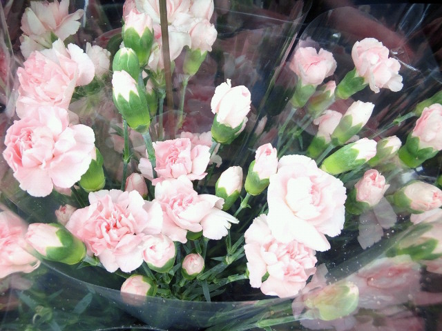 d0135899_16162579.jpg