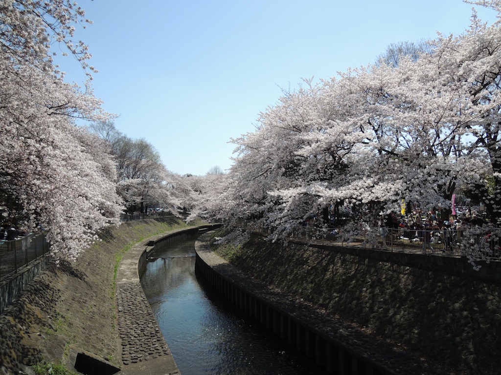 f0108399_189852.jpg
