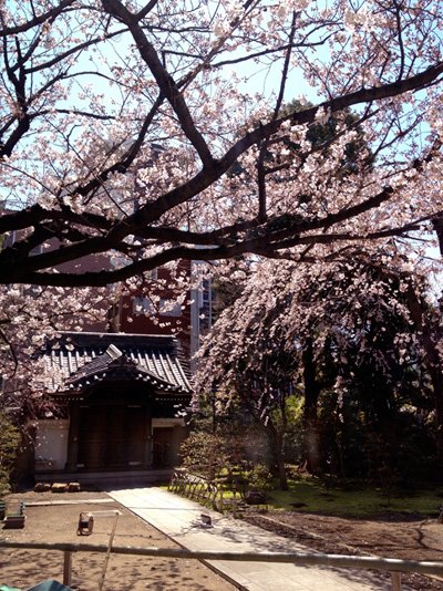 b0097200_234034.jpg