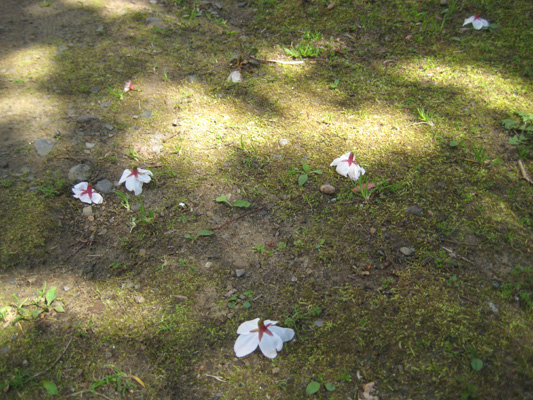 b0097200_2395326.jpg