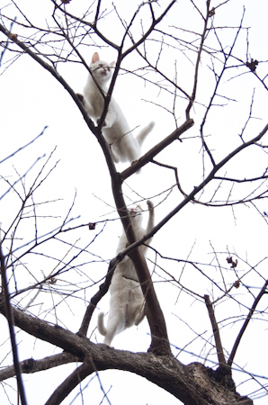 f0239100_7141999.jpg