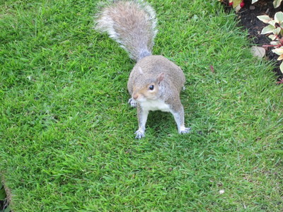 a0133701_23344289.jpg