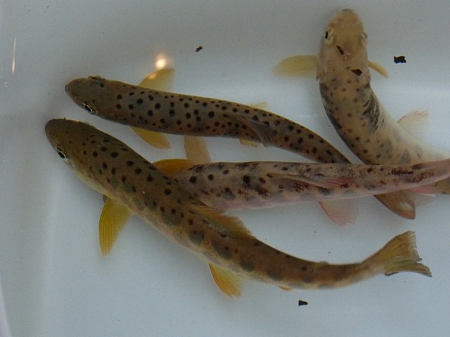b0025101_183240.jpg