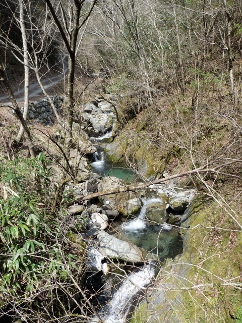 b0025101_23255125.jpg