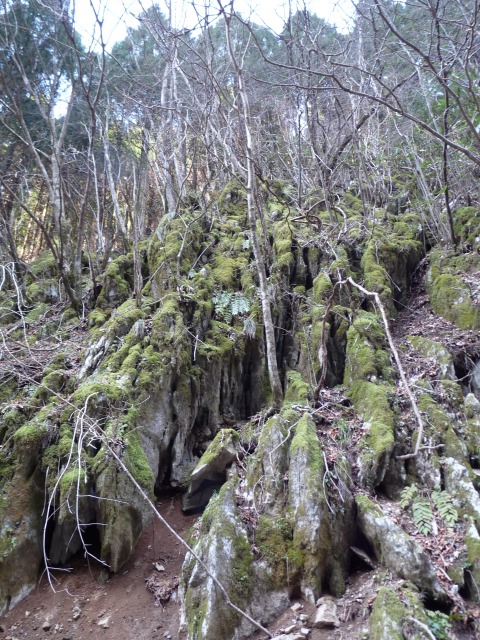 b0025101_2334140.jpg