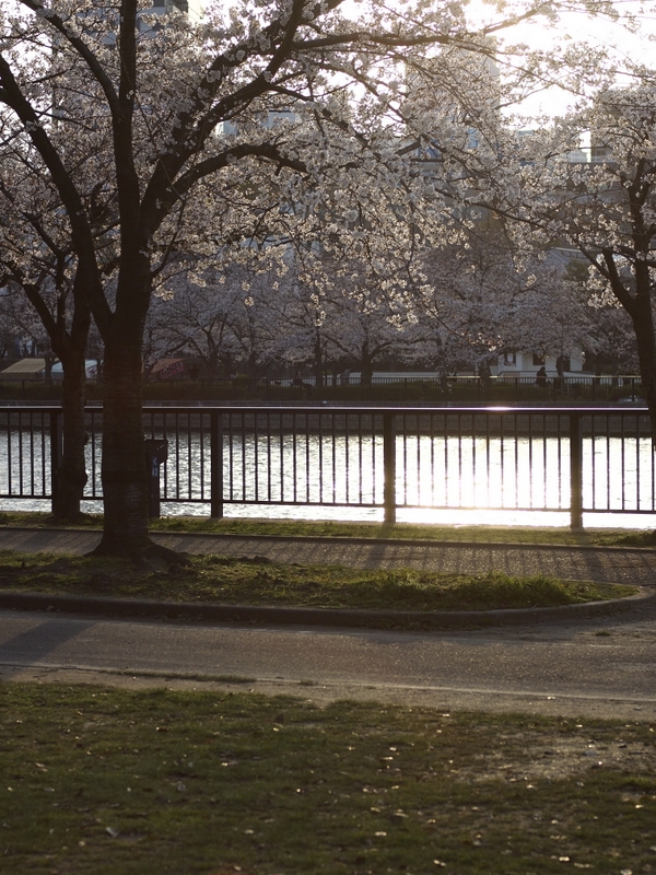 b0138101_21283131.jpg
