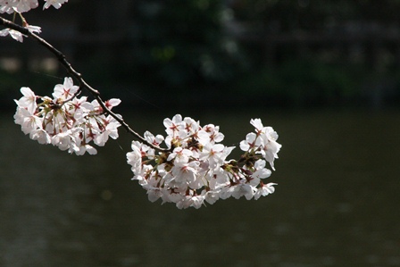c0128303_23254652.jpg