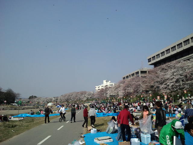f0197703_11235929.jpg