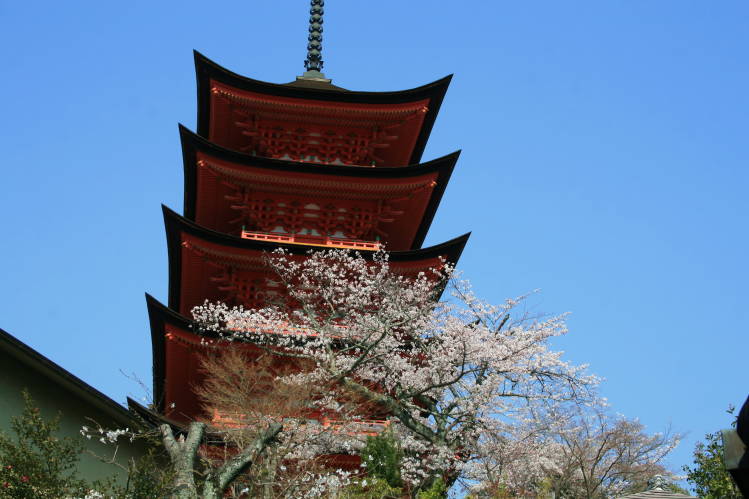 f0031304_7145527.jpg
