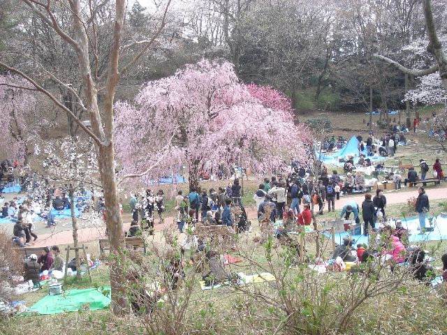 b0148106_851771.jpg