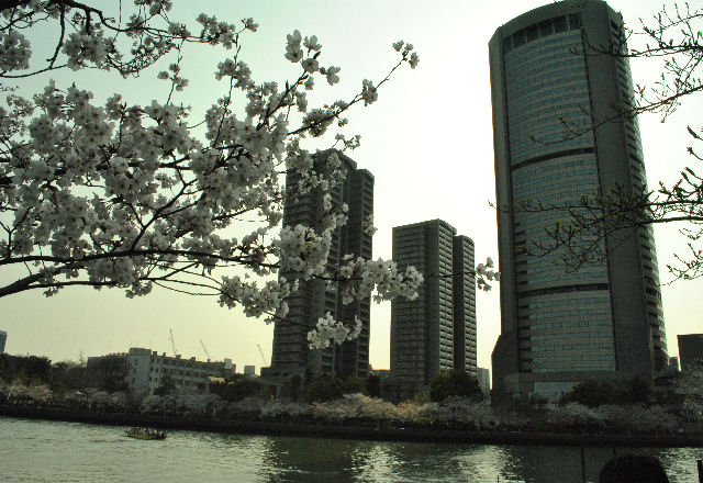b0198313_21495546.jpg