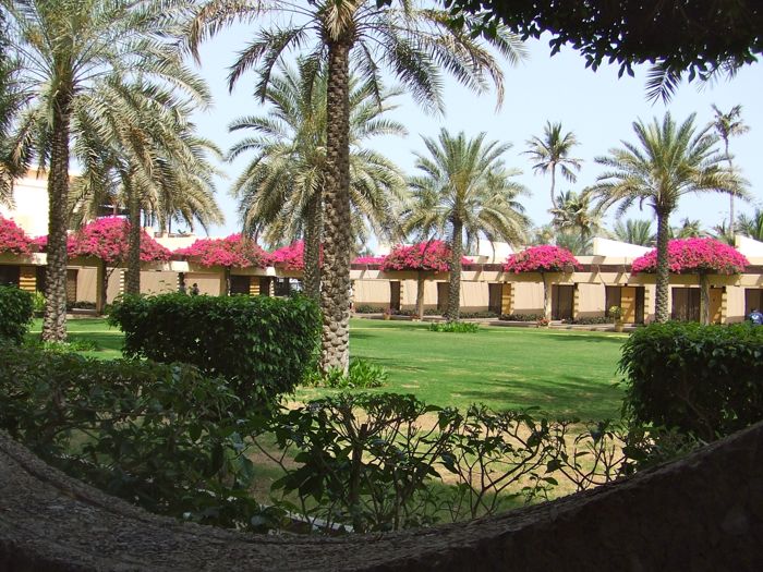 c0167813_357926.jpg
