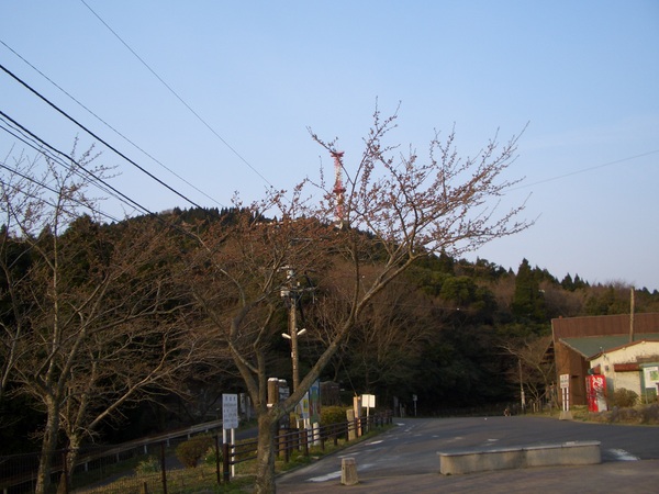 d0198313_10355582.jpg