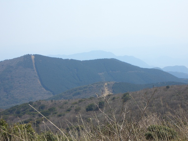 d0198313_10455747.jpg
