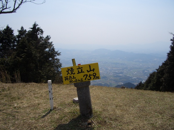 d0198313_10472279.jpg