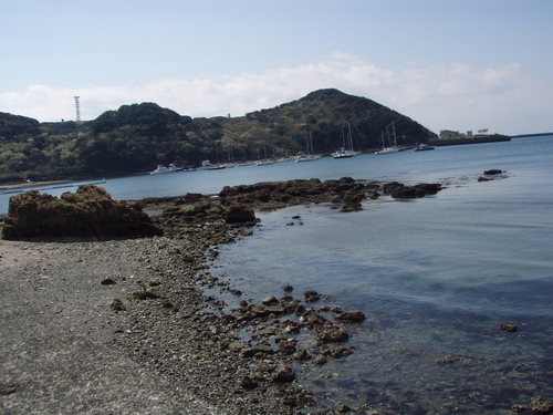 b0121015_17412698.jpg