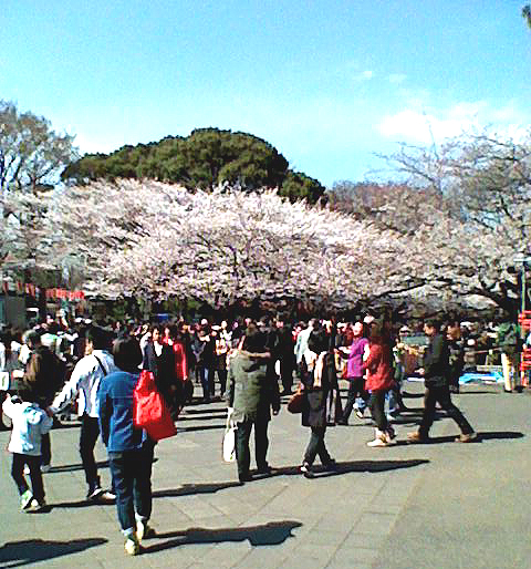 e0151418_15103134.jpg
