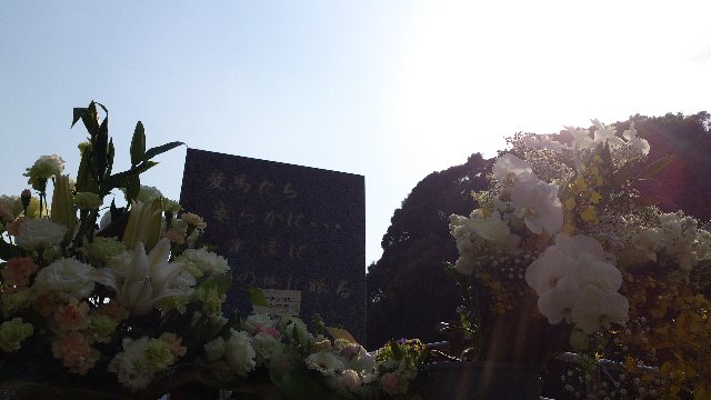 b0187620_2247058.jpg