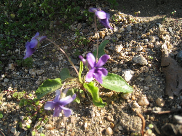 c0197220_9153282.jpg