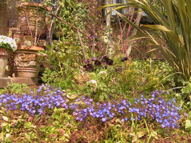 c0204121_1175012.jpg