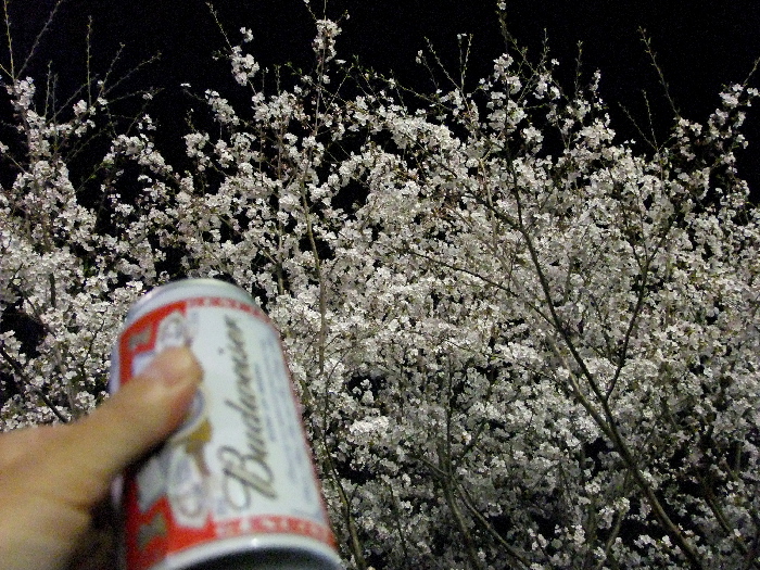 f0103126_21213177.jpg