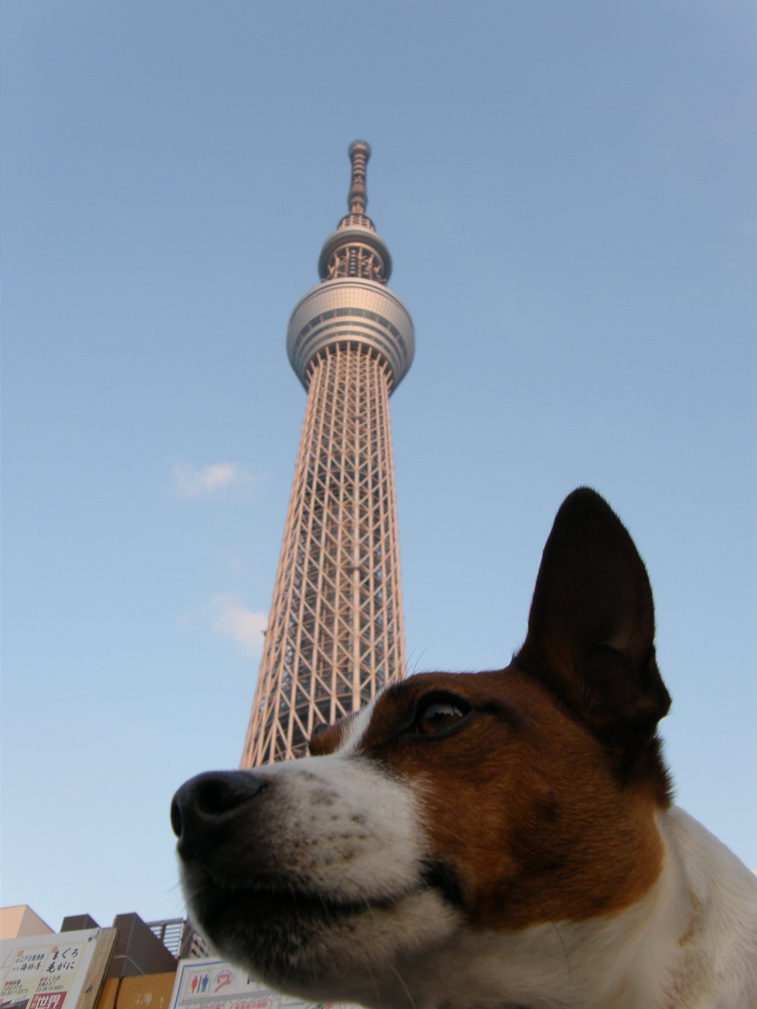 e0204927_15281993.jpg