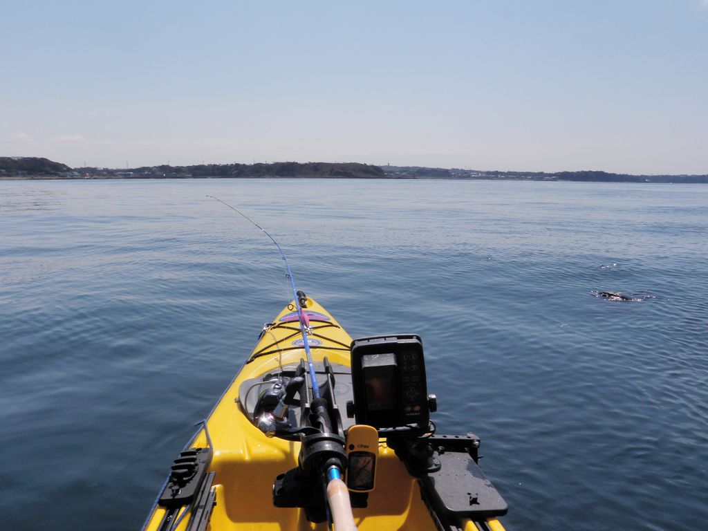 b0173629_21574473.jpg