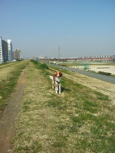 c0114929_1638447.jpg