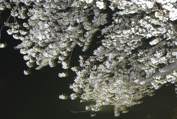 e0103831_031044.jpg