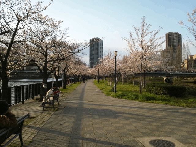 d0048332_11592742.gif