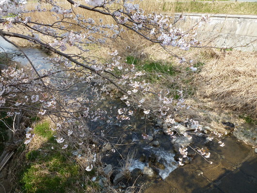 a0228333_22445227.jpg